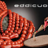 eddi-cuomo-corallo